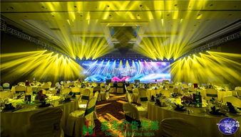 廉江市大型节目策划演出提供公司