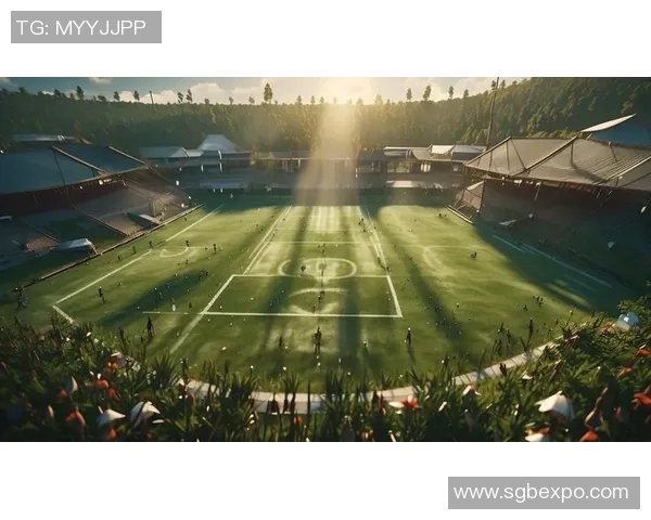 足球明星精彩瞬间集锦回顾展现球场魅力与激情的完美时刻